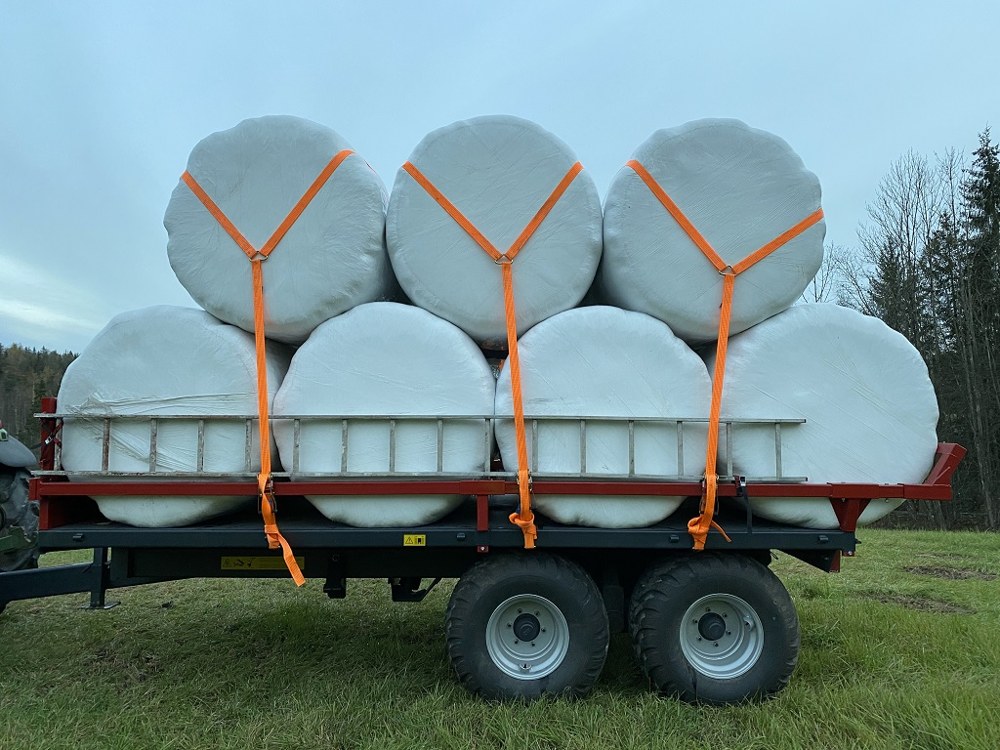 WECKMAN RUNDBALLGRIND WS130G, bilde 1